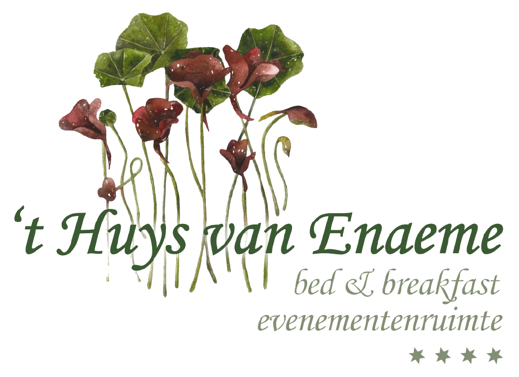 't Huys van Enaeme logo